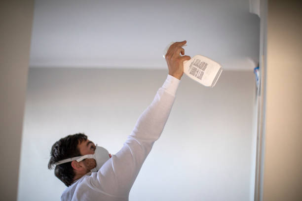 Best Commercial Mold Removal  in Layhill, MD