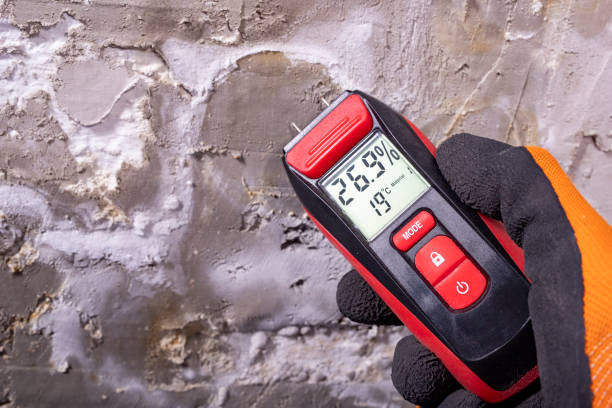 Best Mold Damage Repair  in Layhill, MD